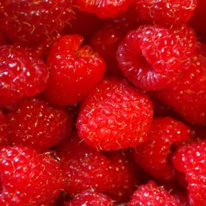 Produkto pavadinimas